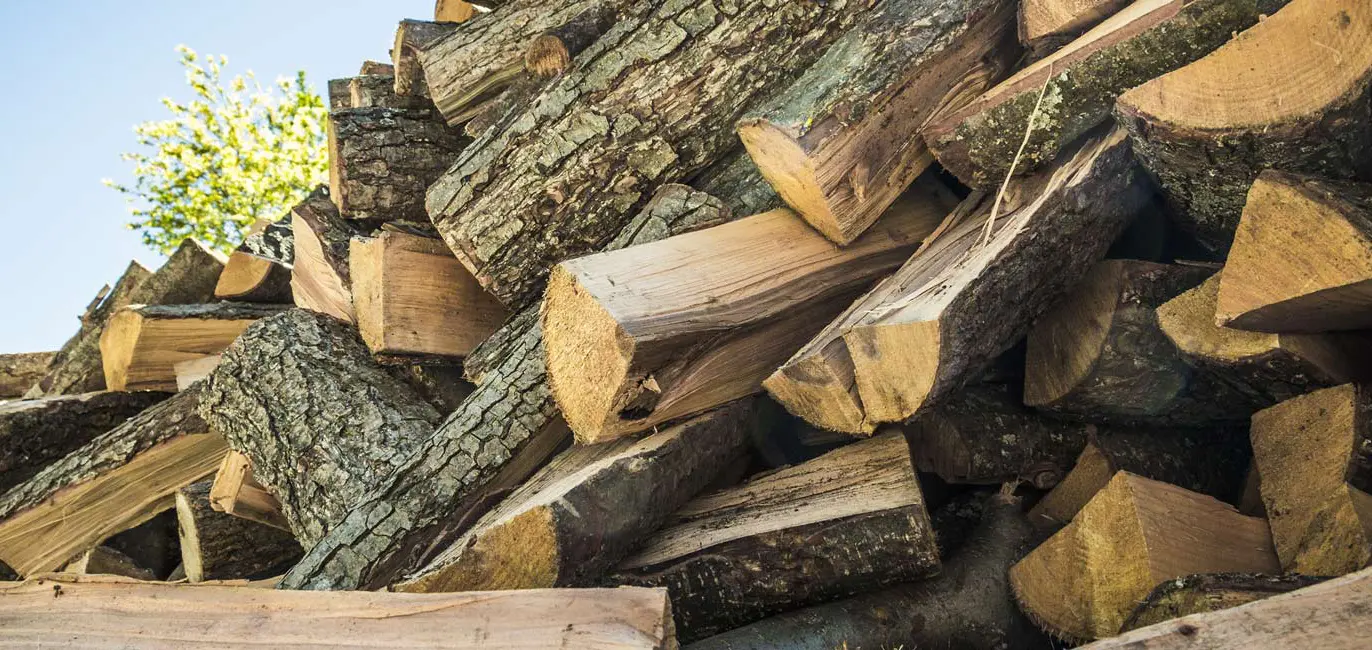 Cover Slider Firewood